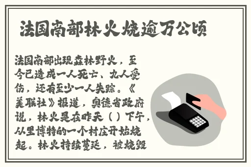 任你躁在线精品免费